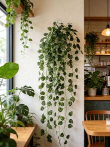 1/12/240片，82.67英寸人造西瓜叶、甘薯叶和秋海棠叶垂吊藤蔓，仿真植物，室内植物装饰，婚礼装饰，情人节礼物，春季装饰，人造常绿常春藤花环藤蔓，也适用于户外装饰 - 綠色 - 查看 8