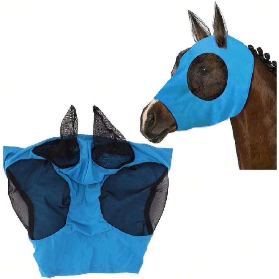 Equestrian Protective Gear