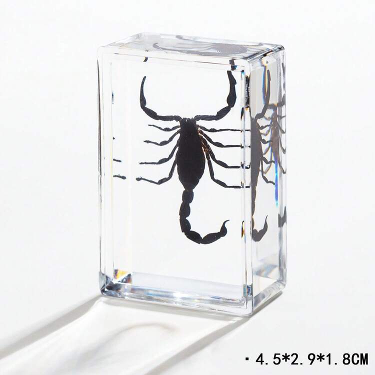 1 pièce Insecte et plante spécimen préservé dans une boîte en résine transparente ambre ! Modèle permanent d'insecte et de plante, spécimen d'insecte réel dans la résine, presse-papiers, modèle d'animal et de plante transparent en ambre carré, ornement décoratif, objet de collection de grande valeur. - Multicolore - Voir 11