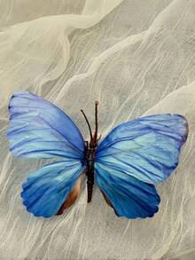 2个/1双 节日风仙女蝴蝶花鞋扣，蝴蝶兰花鞋花，凉鞋配件，女士沙滩鞋扣