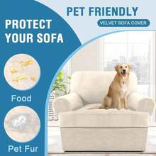 Trugenix-Sofa Cover 2 Piece T Cushion Armchair Slipcovers Velvet Couch Cover Furniture Protector Stretch T Cushion Sofa Covers For 1 Cushion Couch With 1 Individual T Cushion Covers, Deep Teal-GP - 象牙 - 查看 6