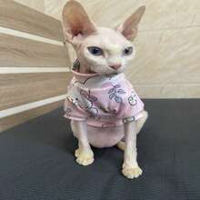 无毛斯芬克斯猫德文卷毛猫幼崽宠物猫可爱兔子软印花 - 粉色 - 查看 5