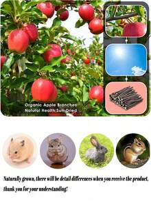 50克 100克 200克 苹果枝宠物磨牙玩具，15厘米柳枝，宠物咀嚼玩具，干柳枝咀嚼棒，适用于仓鼠、兔子和豚鼠，兔子用品，情人节礼物，生日礼物。 - 彩色 - 查看 6