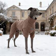 1pc Pet Jumpsuit, Warm & Cute Dog Pajamas, Fashion, Autumn/Winter, Pet Clothes, Solid Color, Striped, Soft & Cozy Pet Winter - Multicolor - View 5