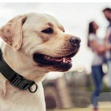 战术犬项圈 可调节军用训练尼龙犬项圈 带控制手柄 重型金属扣 适用于中大型犬 高品质尼龙可调节犬项圈 带手柄 重型金属加固扣 D形环 柔软棉垫 适用于小型和中型犬的军用训练项圈 - 彩色 - 查看 6