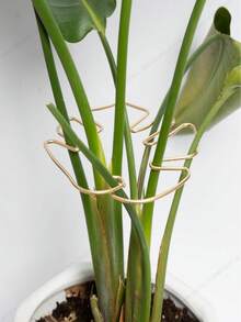 Durable Monstera Deliciosa Plant Support Cage - Unique Design Suitable For Climbing Plants, Includes Monstera Clip Set, Ideal For Promoting Healthy Plant Growth; Durable Monstera Plant Trellis & Support System - Metal Climbing Plant Trainer With Bamboo Clip Set, Ideal Choice For Healthy Plant Growth, And Decorative Garden Support; Plant Support Structure | Climbing Plant Support | Metal Trellis | Christmas Decor - Gold - View 3