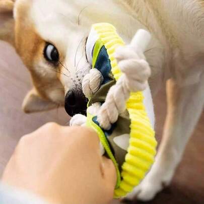 1个带绳子和发声球的狗狗磨牙玩具，牛津布材质，适合爱啃咬的狗狗，内置互动发声器，适合幼犬/成犬，室内外均可玩耍