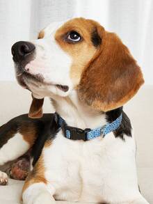 1pc Adjustable Pet Collar With Dog Bone Print On Blue Background, Leash Clip For Walking Dogs