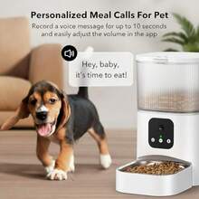 新一代自动喂猫器，带监控摄像头，AI远程喂猫，双电源供电：USB和电池，2.4G WiFi自动喂狗器，夜视功能，猫粮分配器 - 3L - 查看 8