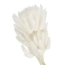 15.7in Bunny Tails Dried Flowers, 120pcs Pampas Grass Decor Rabbit Tail Natural Pampas Grass Bulk Fluffy Faux Pampas Grass Dried For Home Boho Decor Vase Wedding Table, White - White - 查看 2