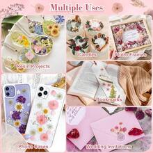 Assorted Dried Flowers Set - Multi-Purpose Preserved Floral, Suitable For DIY Crafts, Photo Frame Decor, Wreaths, Boutonnieres, Wedding Accessories And Home Decor - No Electricity Needed, No Feathers, Perfect For Christmas, Halloween, Easter And Thanksgiving - Multicolor - View 4