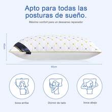 Bordado premium Almohada 1/2pz 60cm*40cm tamaño estander microfibra suave y soporte para dormitorio en casa y sala de estar en sofá - Blanco - Ver 7