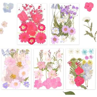 Flores Prensadas Secas para Resina, 5 Bolsas de 100 Piezas de Flores Prensadas, 5 Temas de Colores, Flores Secas para Arte de Uñas, Resina, Diseño de Joyería de (Tipo 5),37627810