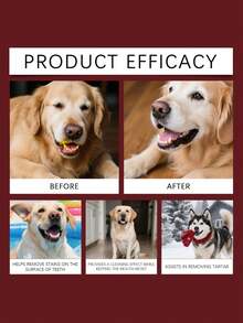 Disposable Pet Finger Toothbrush, Daily Cleaning For Cat And Dog Teeth, Fresh And Clean - Multicolor - View 6