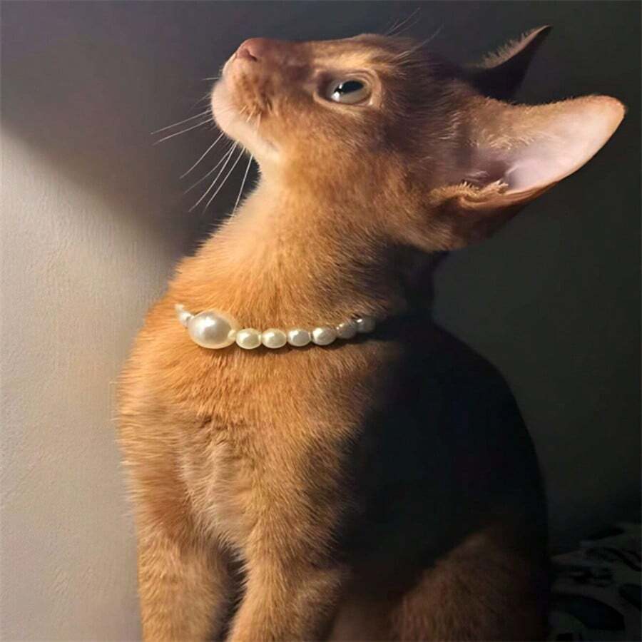 1件装奢华仿珍珠宠物项链，适合小型/中型/大型犬猫，节日礼物，日常佩戴，狗狗项圈 - 彩色 - 查看 1