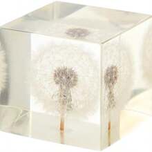 Artibetter Cubo Decorativo con Diente De Len Transparente 3D Adorno Artesanal para Oficina Y Hogar Pisapapeles Creativo para Escritorio Regalo para Cumpleaos Y Festividades - como se muestra en la figura - Ver 2