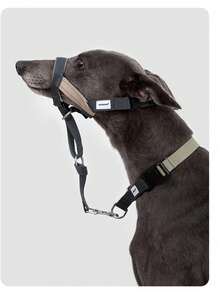 高品质狗嘴套（颜色随机）/ 单个嘴套 / 套装：经典款嘴套、项圈 - 彩色 - 查看 1