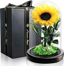 Valentinstagsgeschenke für Frauen |   Ewige Infinity Blaue Rosen im Glas mit Licht |   Konservierte Blumen Mit Geschenkbox |   Für Frauen, Mama, Oma, Freundin |   Zum Valentinstag, Muttertag–Deko & Geschenk ​