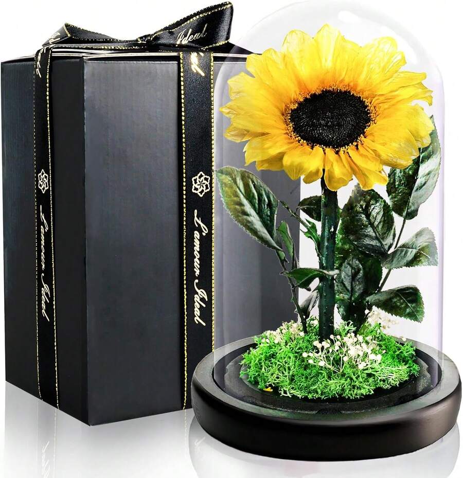 Valentinstagsgeschenke für Frauen |   Ewige Infinity Blaue Rosen im Glas mit Licht |   Konservierte Blumen Mit Geschenkbox |   Für Frauen, Mama, Oma, Freundin |   Zum Valentinstag, Muttertag–Deko & Geschenk ​