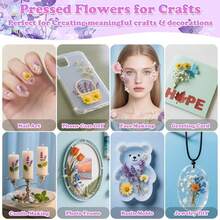 Assorted Dried Flowers Set - Multi-Purpose Preserved Floral, Suitable For DIY Crafts, Photo Frame Decor, Wreaths, Boutonnieres, Wedding Accessories And Home Decor - No Electricity Needed, No Feathers, Perfect For Christmas, Halloween, Easter And Thanksgiving - Multicolor - View 6