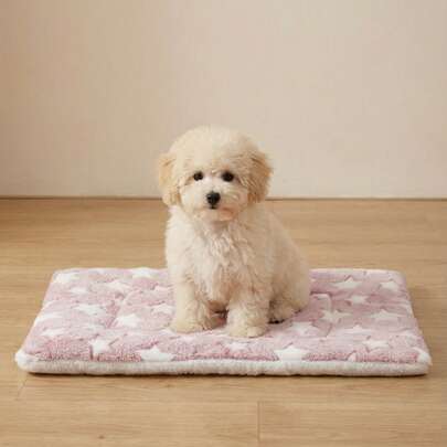 PETSIN 秋冬季加厚毛绒宠物垫，猫狗保暖垫毯