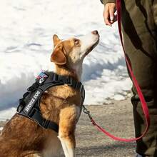 Tactical Pet Protection Harness, 5-Point Safety System, Shock Absorption & Night Vision, Universal Size Dog Vest - Multicolor - View 7