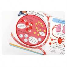 Toddler English Early Education Board Book - Usborne Lift The Flap: What's Inside Me? Kids Science Cognitive Q&A Popular Science Book - Multicolor - View 6