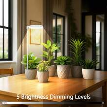 Growing Lamps