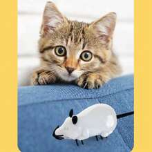 互动式电动逗猫玩具 - 蚂蚁/老鼠造型 - 通过震动吸引宠物，激发其天生的狩猎本能。 - 仅需两节纽扣电池供电，方便快捷，让主人在猫咪运动的同时也能放松身心。 - 彩色 - 查看 8