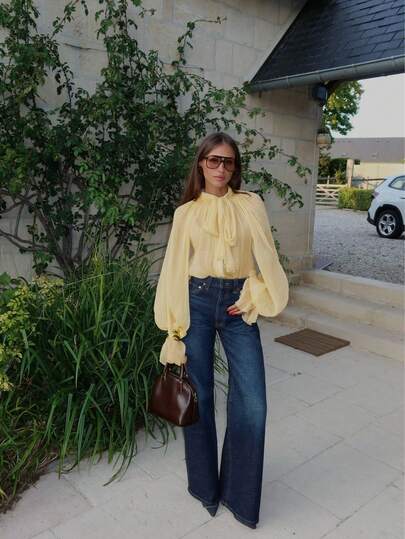 Women's Elegant Casual Stand Collar Sheer Long Sleeve Blouse - Ruffle Trim, Lantern Sleeve, Front Pleats, Sheer, Front Button, Loose Fit Shirt