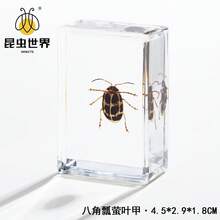 逼真昆虫标本，甲虫、蝎子、犀金龟、蜘蛛，生物科学教育礼品树脂摆件 - 高品质玩具，款式随机，生日礼物 - 圣诞礼物 - 万圣节礼物 - 完美礼物 - 彩色 - 查看 73