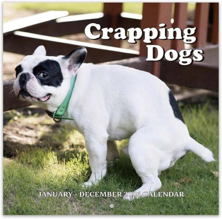 Gag Gifts - 2026 Wall Calendar, White Elephants Gifts, Pooping Dogs, Dogs Pooping Calendar 2026, Jan 2026 - Dec 2026, Birthday Gag Gifts, White Elephant Christmas Gifts, Gag Gift Funny - 顏色B - 查看 1