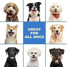 Wahl 100% Natural Pet No-Rinse Waterless Shampoo, Coconut Lime Verbena #820015 - Verbana de coco y lima - Ver 7