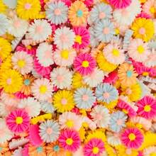 100PCS Multicolor Mini Flat-Back Resin Flower Embellishments For Handmade DIY Wedding Decorations, Nail Art, And Crafts (Not Self-Adhesive).