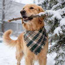 وشاح مثلث للكلاب بتصميم مربعات مع أطراف شرابات، إكسسوارات أزياء للكلاب المتوسطة والكبيرة، لموسم عيد الميلاد والشكر - متعدد الألوان - مشاهدة 11