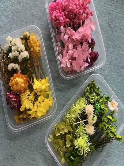 1 صندوق من الأزهار المجففة والمحفوظة متعددة الألوان، مناسبة لأعمال الحرف اليدوية DIY، الملصقات، إطارات الصور، أغطية الهواتف المصنوعة من الراتنج الإيبوكسي، مواد الزهور، عيد الميلاد، عيد الحب، ديكورات الزفاف والزينة