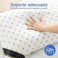 Bordado premium Almohadas de microfibra suave y soportes 60cm*40cm 1/2pz para dormitorio en cama y la sala de estar en sofá - Blanco - Ver 5