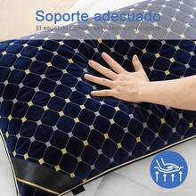 Bordado premium Almohadas de microfibra suave y soportes 60cm*40cm 1/2pz para dormitorio en cama y la sala de estar en sofá - Azul - Ver 5