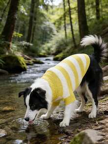 Autumn/Winter High Collar Striped Knitted Pet Sweater, Warm Two-Leg Clothing For Cats And Small/Medium Dogs, Casual Pullover - Yellow - View 5