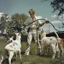 1pc Crafted With Premium Imitation Leather, This Western-Style Long Whip Captures The Rugged Aesthetic Of Traditional Cowboy Gear While Offering Enhanced Durability And Weather Resistance. - Multicolor - View 5