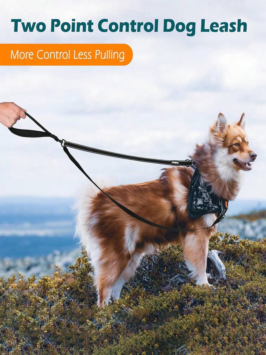 双点控制狗绳，可搭配防拉胸背带和训练绳使用，加粗反光牵引绳，可转换为单点控制，适合中大型犬。 - 彩色 - 查看 1