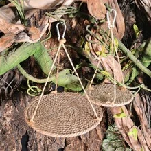 1pc Breathable & Comfortable Detachable Rope Woven Decorative Hammock, Suitable For Reptiles, Amphibians And Small Animals, Washable, Lizard Bed, Hamster Hammock, Pet Swing, Ideal For Rainforest And Desert Scene Decor