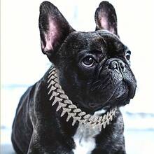 1pc Bling Rhinestone Studded Hiphop Dog Necklace, 20mm Durable Pet Collar, Suitable For Small/Medium/Large Cats & Dogs, Daily Or Holiday Gift - Multicolor - View 5