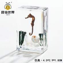 逼真昆虫标本，甲虫、蝎子、犀金龟、蜘蛛，生物科学教育礼品树脂摆件 - 高品质玩具，款式随机，生日礼物 - 圣诞礼物 - 万圣节礼物 - 完美礼物 - 彩色 - 查看 53