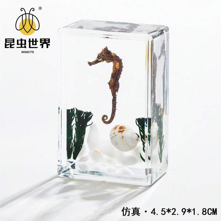 逼真昆虫标本，甲虫、蝎子、犀金龟、蜘蛛，生物科学教育礼品树脂摆件 - 高品质玩具，款式随机，生日礼物 - 圣诞礼物 - 万圣节礼物 - 完美礼物 - 彩色 - 查看 53