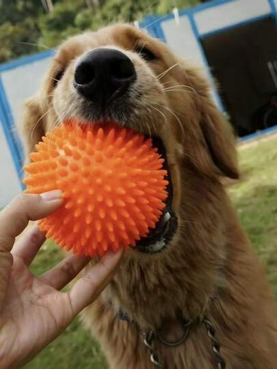 球形狗狗玩具，兼具咀嚼、清洁牙齿和娱乐功能。这款轻巧有趣的玩具带有声音和弹跳功能，是狗狗的理想伙伴，有助于舒缓它们的情绪，并让它们玩接球游戏。