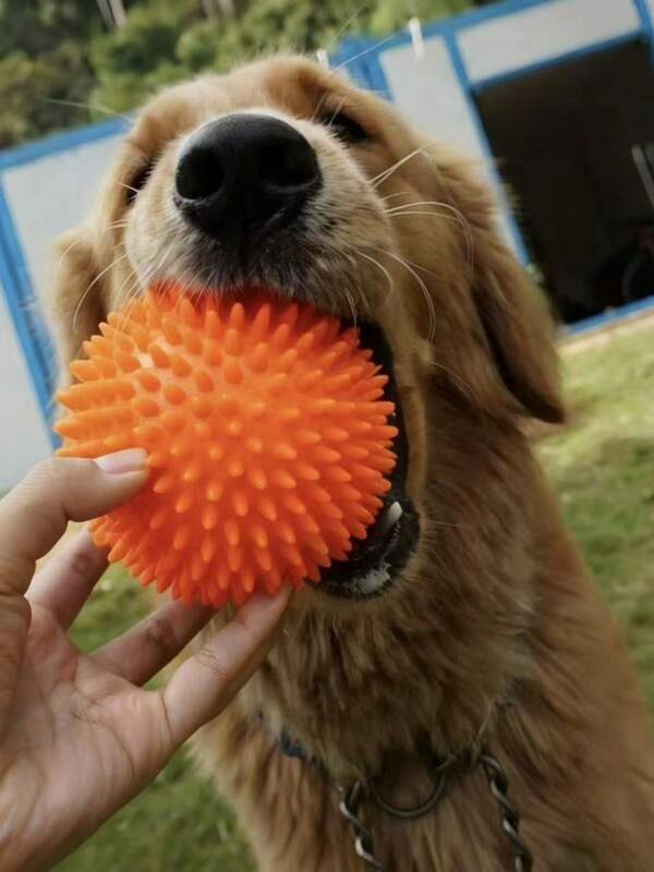 球形狗狗玩具，兼具咀嚼、清洁牙齿和娱乐功能。这款轻巧有趣的玩具带有声音和弹跳功能，是狗狗的理想伙伴，有助于舒缓它们的情绪，并让它们玩接球游戏。