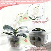 CYPNMaceta para Orquídea10 juegos Maceta Rectangular para Orquideas Naturales Macetas de Orquídeas Transparentes de 4.7 Agujeros y bandeja para Interiores Y Exteriores Plantas de Casa Flores CuadradoFashion - 219823960 - Ver 5