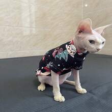 无毛斯芬克斯德文卷毛小猫，可爱的圣诞宠物猫 - 黑色 - 查看 7