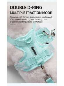 狗狗胸背带套装，防逃脱背心式胸背带，采用柔软网布面料，肩带可调节，带有反光条，适合幼犬和幼猫。欢迎光临LUCKYPAW店铺。 - 彩色 - 查看 9